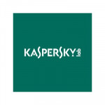 SOFTWARE ACCESSORI - KASPERSKY CUSTODIA PER CARTA DI CREDITO - PROTEZIONE RFID/NFC - 4 SCOMPARTI - NERO (KL1511T8ZZS) - Borgaro Online