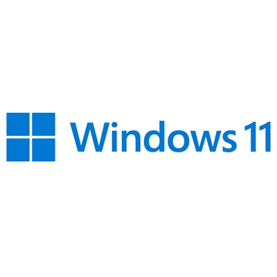 WINDOWS 11 PROFESSIONAL 64BIT DVD OEM FQC-10538